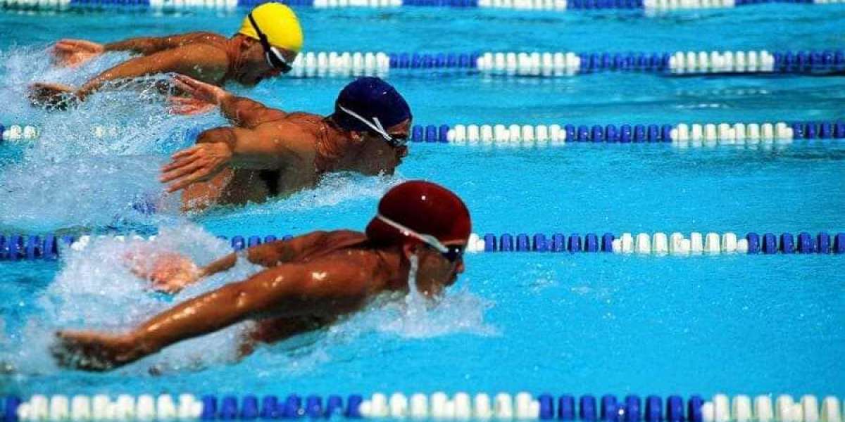 Rolling the Dice: Your Ultimate Guide to the World of Online Gambling