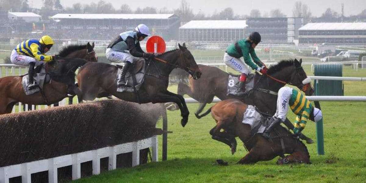 The Ultimate Guide to Sports Gambling Sites