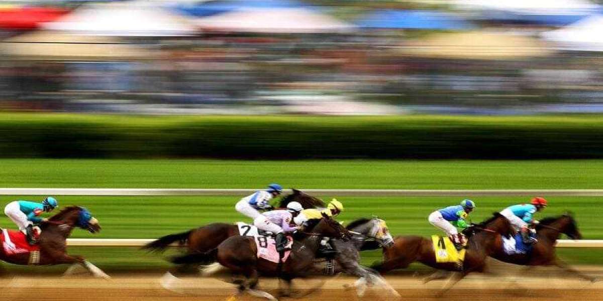 Discover the Best Korean Gambling Sites