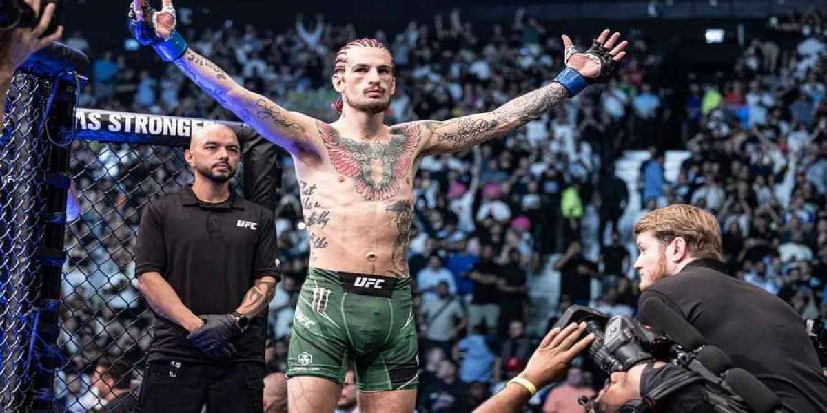 Ultimate Guide to Premier Gambling Sites