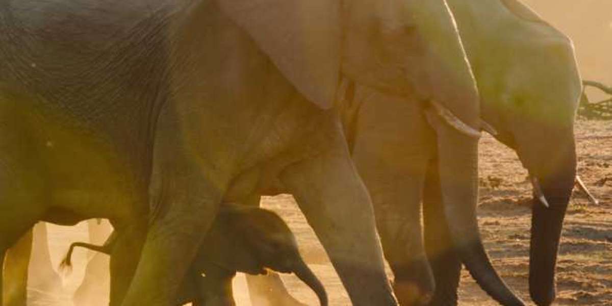 Bridgerton Season 2: Anthony in Focus!