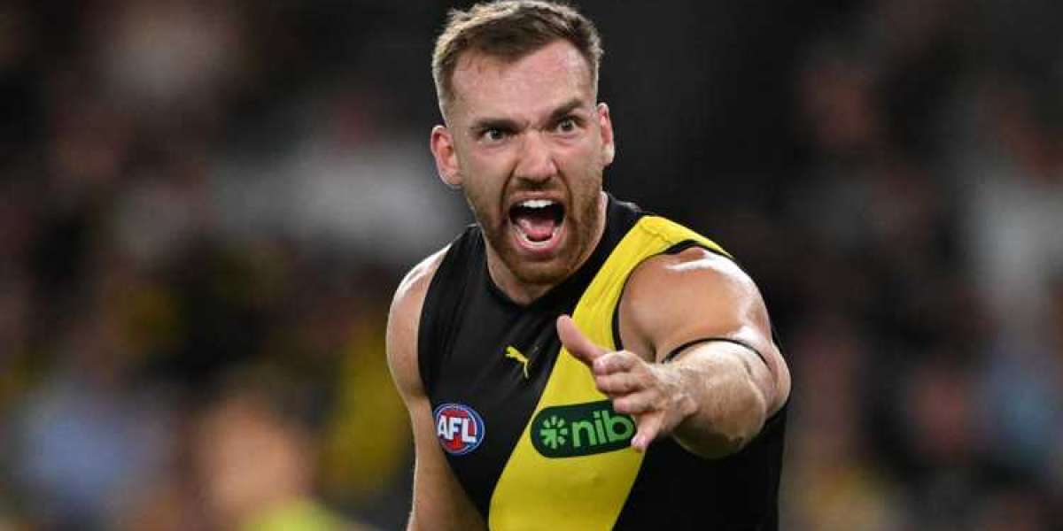 AFL's Accountability Crisis: Balta's Case Analysis