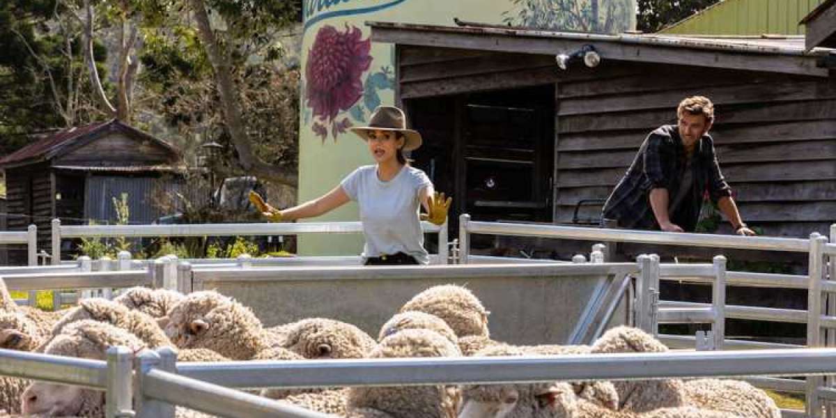 A Perfect Pairing - Unwind with Love & Comedy