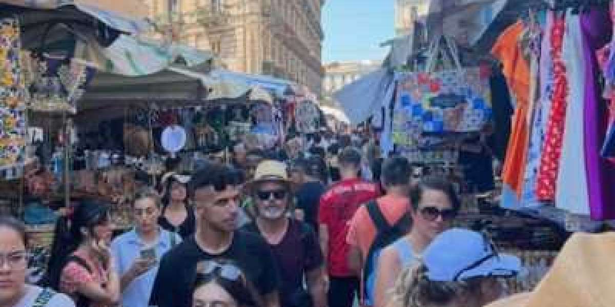 Finding the Best Student Apartment Rental Near Florida State University