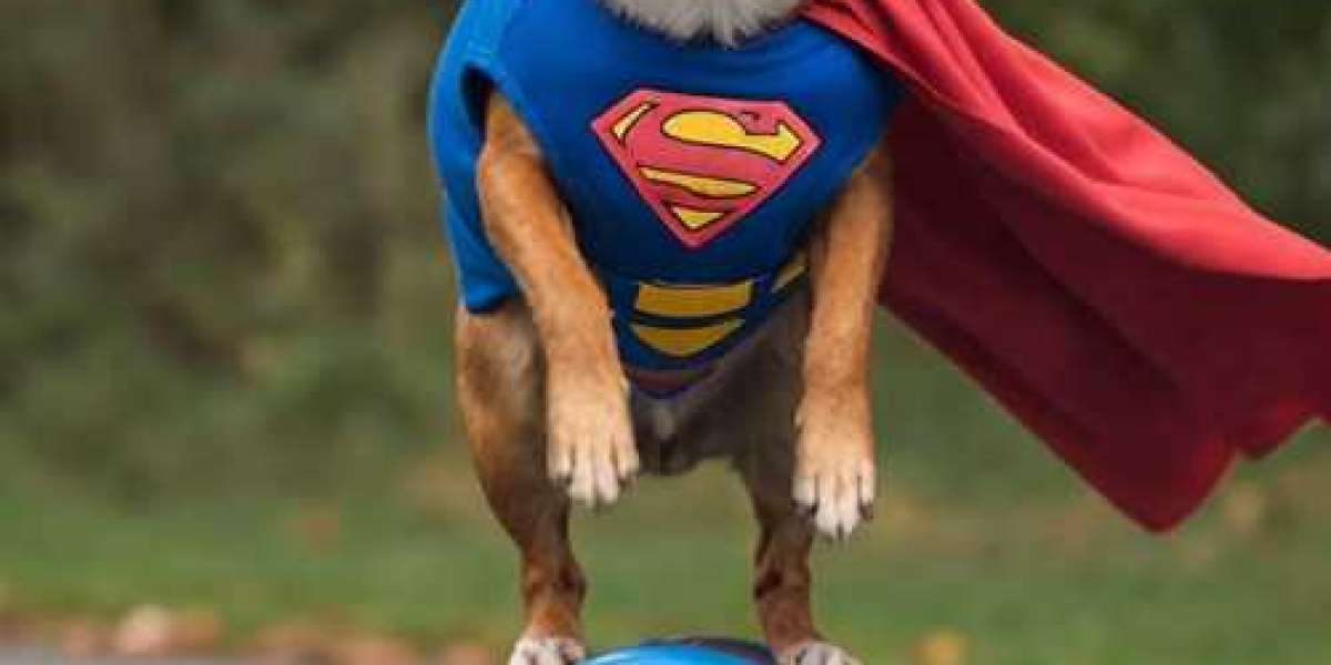 Visual AI Tools - Overcoming Location Barriers