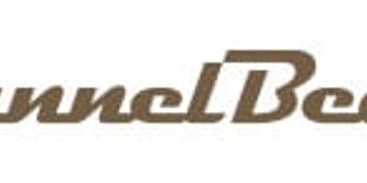 Free VPNs for Windows 11: Top Picks Revealed