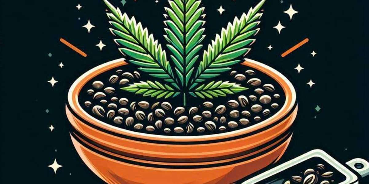 Jack Herer Cannabis Seeds Growth Tips for a Successful Harvest