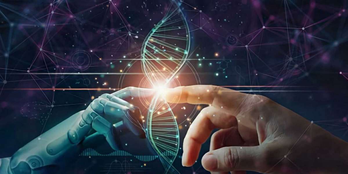 Enterprise Video Market Driving Digital Transformation Across Industries