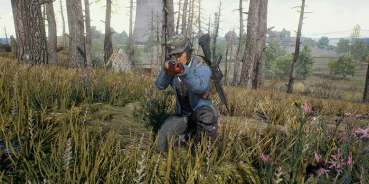 PlayerUnknown's Battlegrounds — успех и влияние