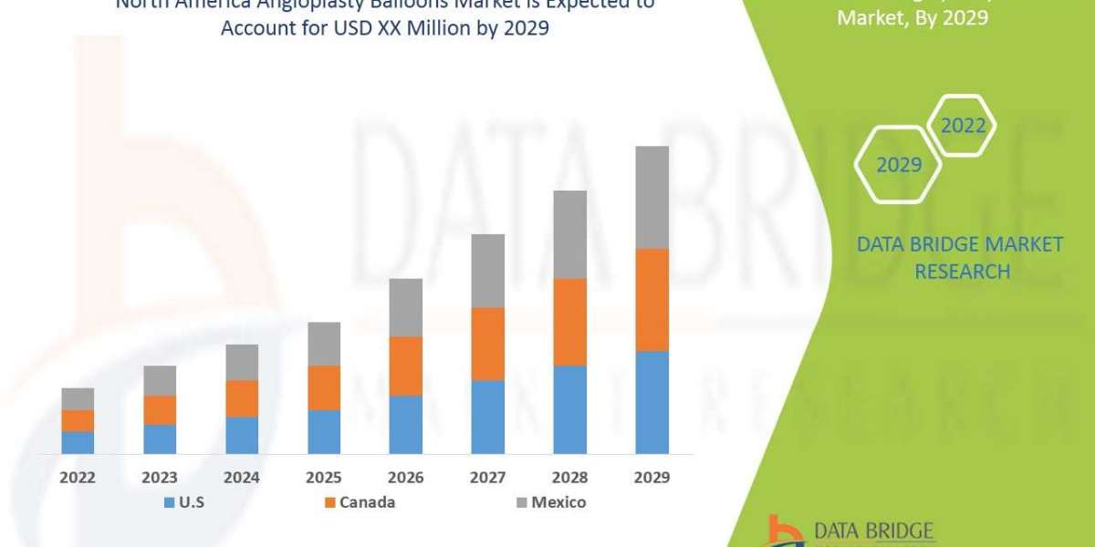North America Angioplasty Balloons Market Growth and Future Trends 2025 –2032