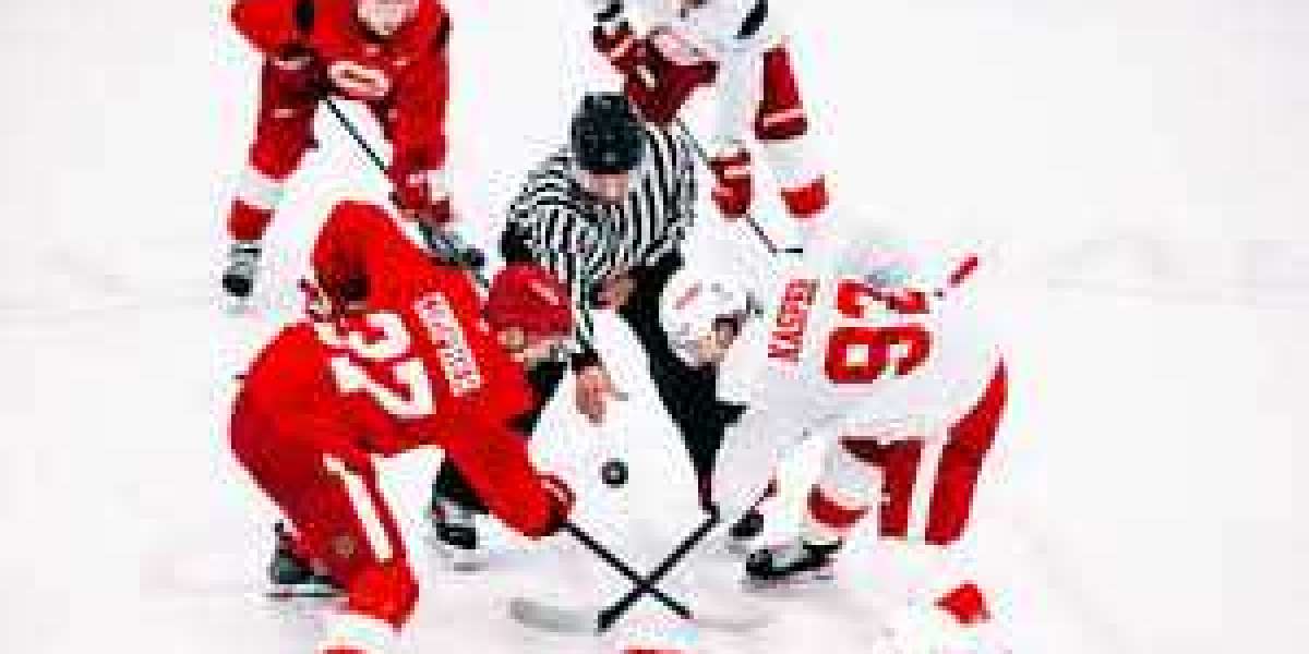 Shines NHL debut with Purple Wings a tale of difficult function, commitment investing off