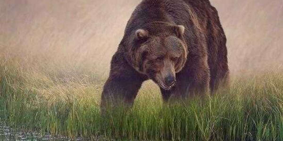 What is Fair Market Price (FMV) & how is It Calculated?