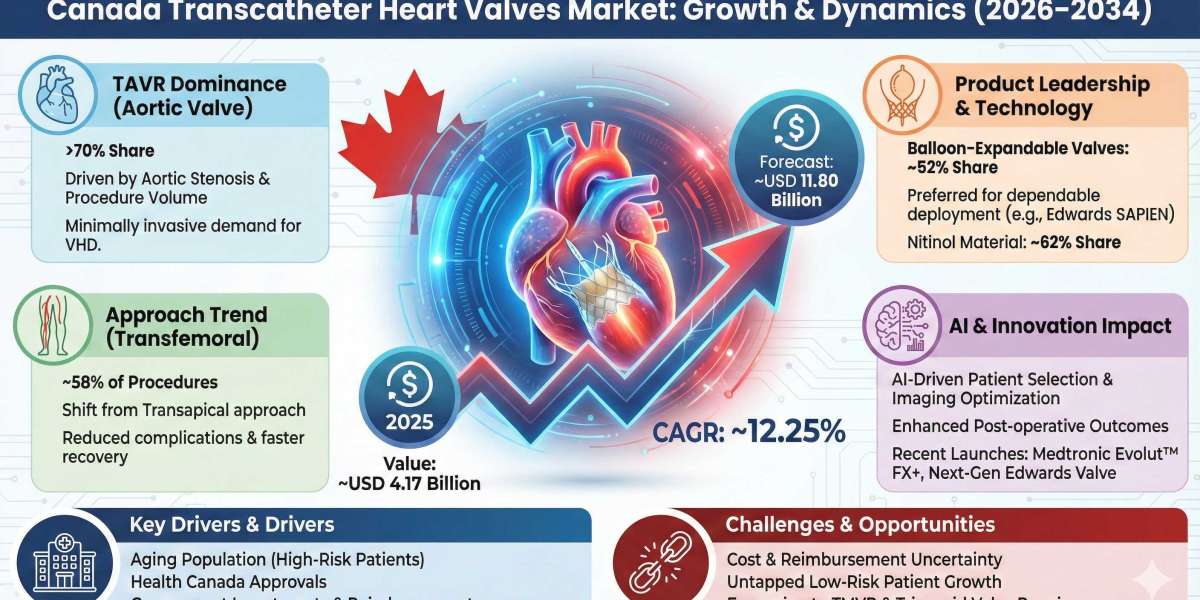 Canada Transcatheter Heart Valves Market Growth Insights and Future Opportunities 2034