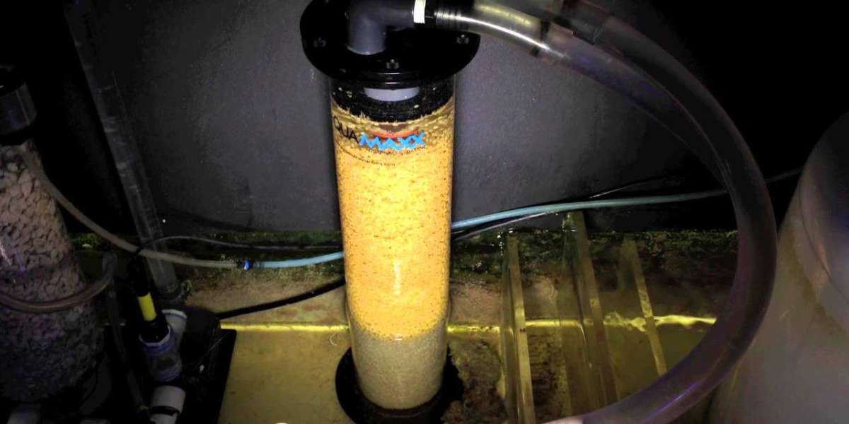 Growth Trends in Biomass Pellet Energy Worldwide