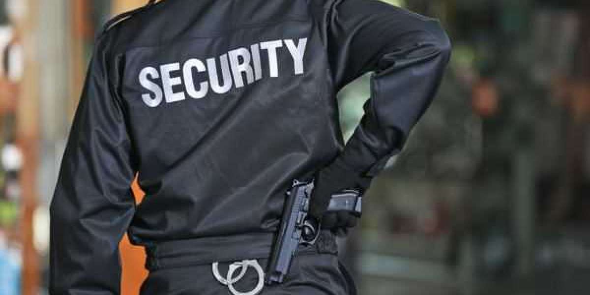 The Critical Role of a Criminal Defense Private Investigator