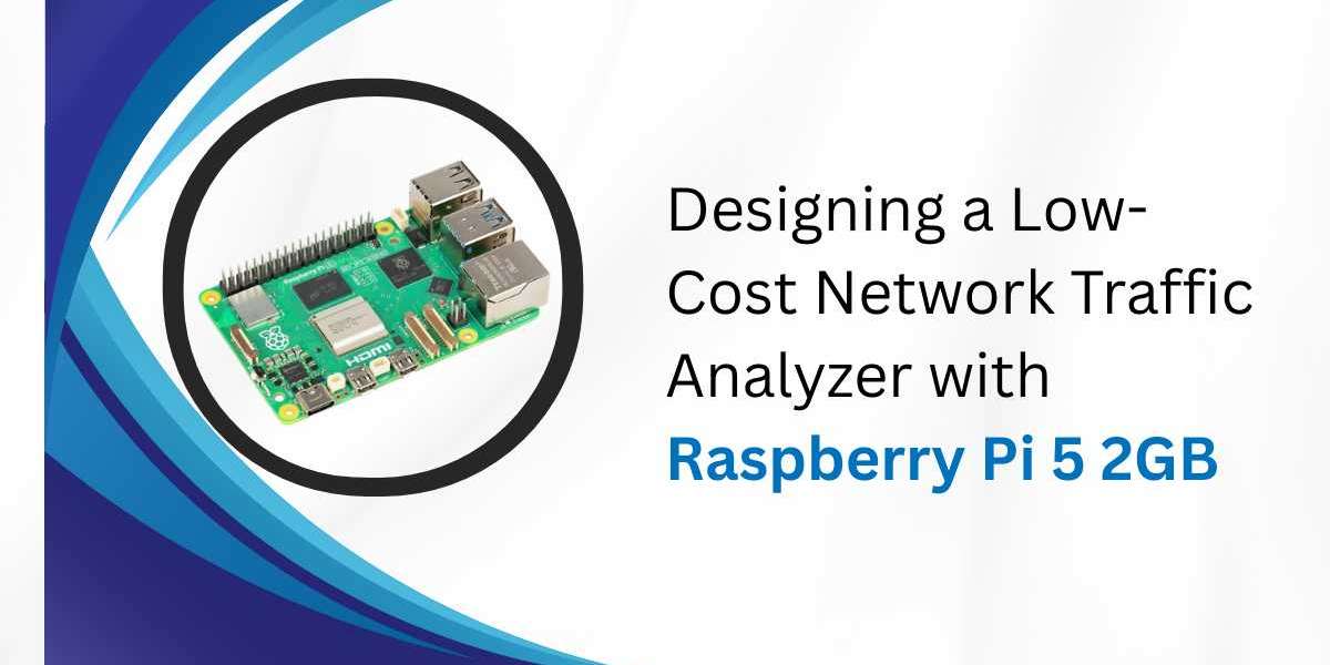 Designing a Low-Cost Network Traffic Analyzer with Raspberry Pi 5 2GB