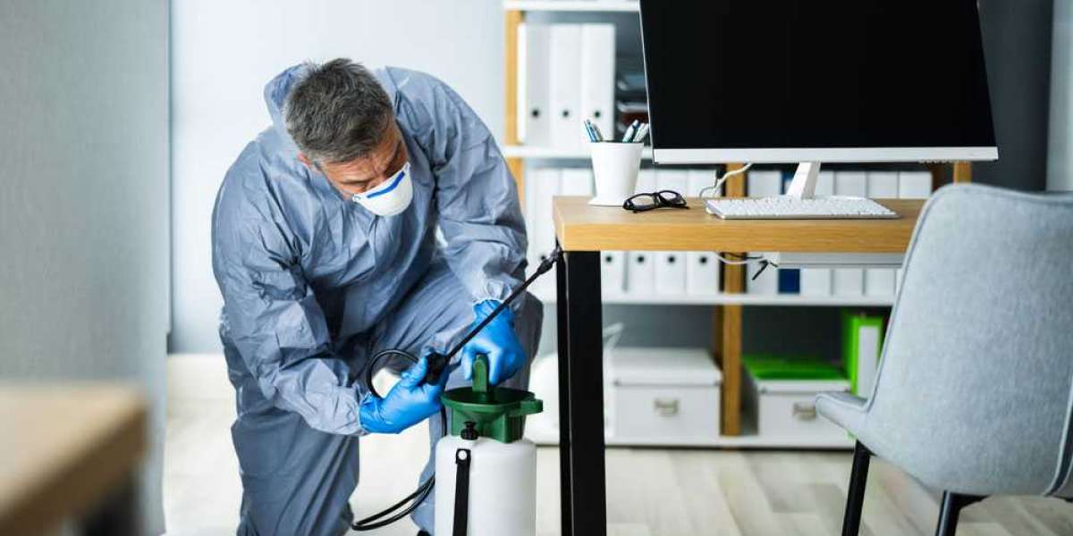 Shielding Your Home: Reliable Pest Control in Yarrabilba for a Safer Living Environment