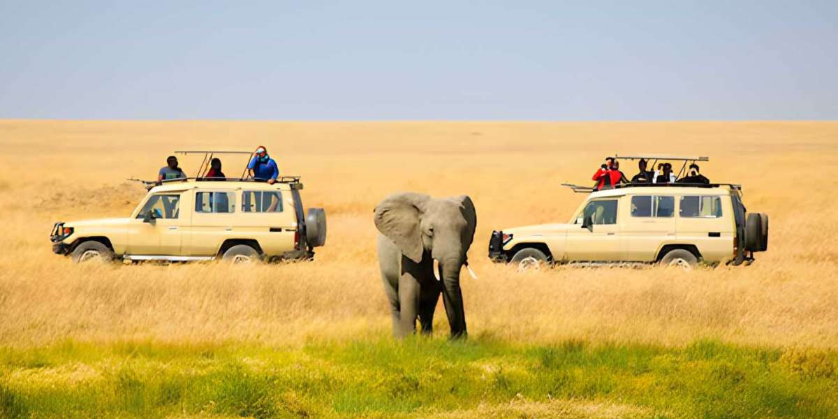 Experience the Wild Like Never Before with a Serengeti National Park Safari