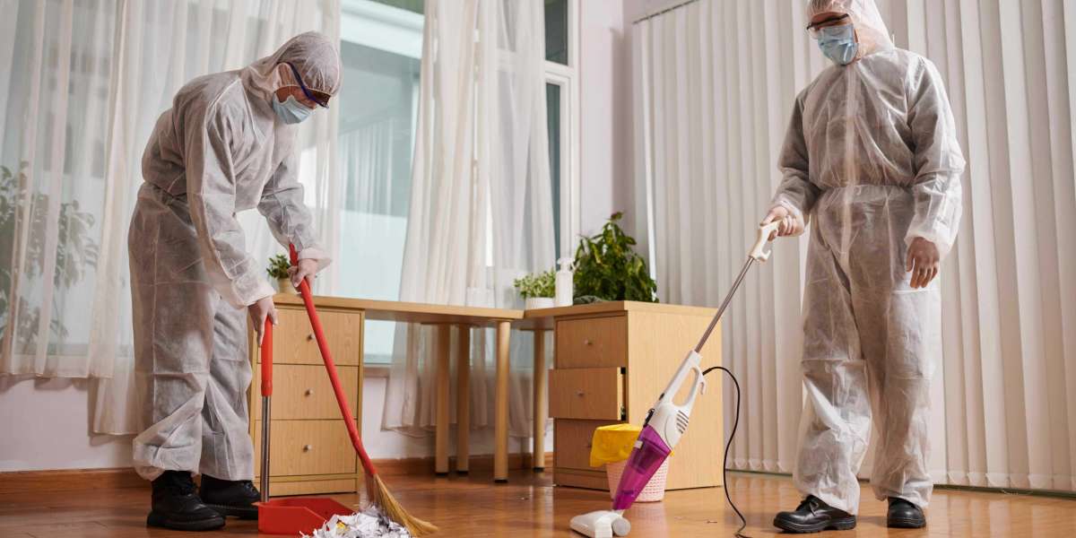Shield Your Home Naturally: Expert Pest Control Services in Eatons Hill