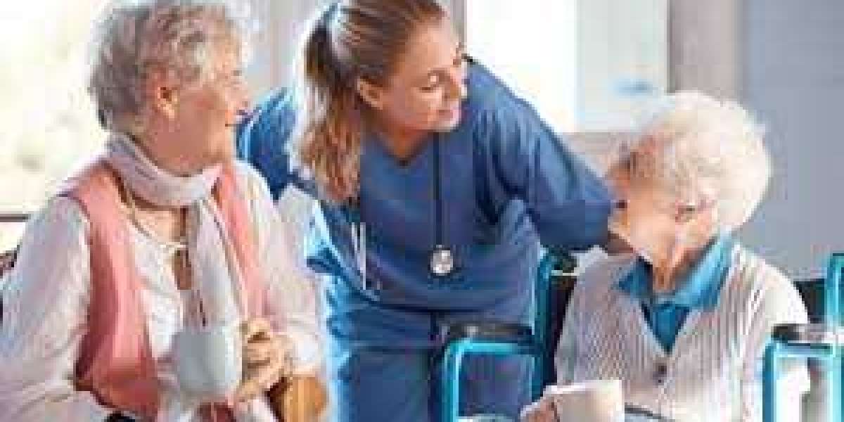 A Complete Guide to Excelling in NURS FPX 4905 Assessment 4 and NURS FPX 4905 Assessment 5