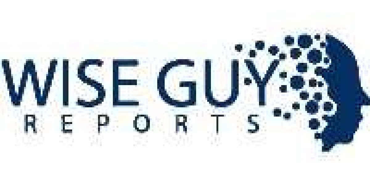 Motorcycle Helmet Visor Market Trends: Key Drivers & Forecast