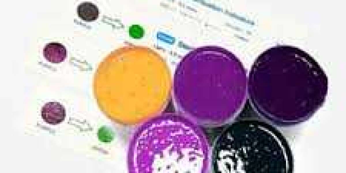 Chemical Indicator Inks Market Emerges as a Key Player in Quality Assurance