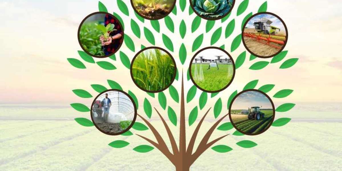 Functional Aquafeed Additives Market Expands Across Regions