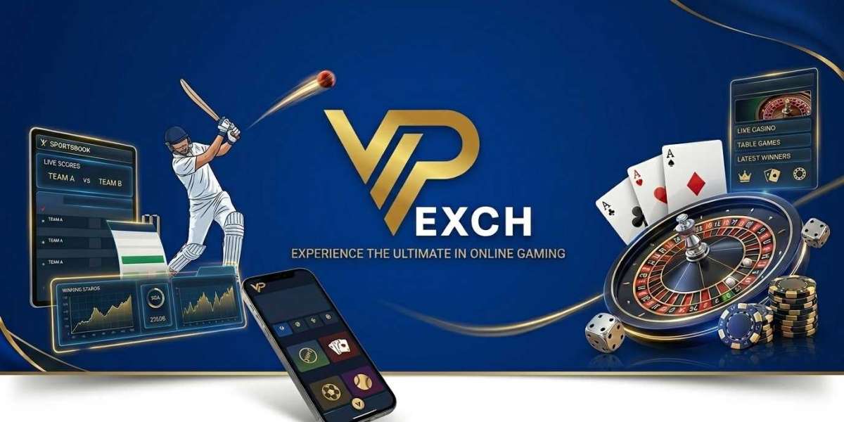Engineering Fluidity: How Vipexch Ensures a Seamless Experience for Modern Enthusiasts