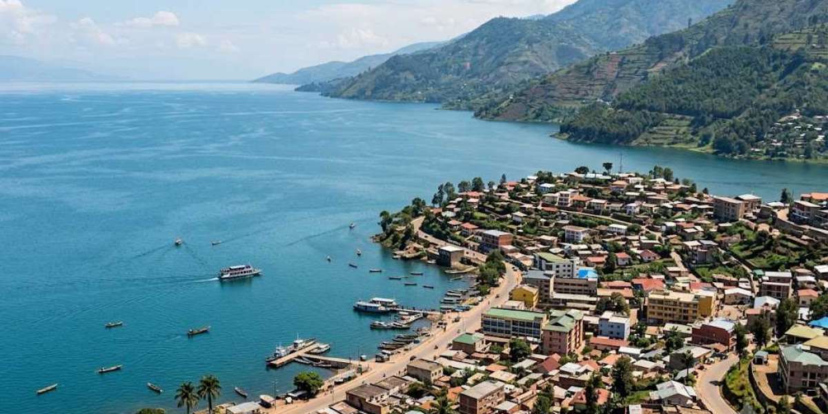 A Guide to Applying for Various Visa Categories in the Democratic Republic of Congo