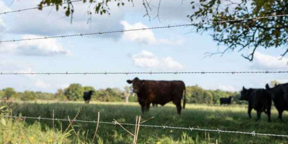 US Agricultural Fencing Market Future Shaped by Rural Demand