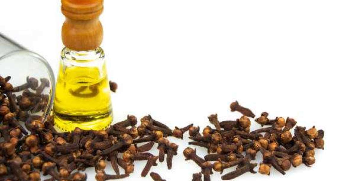 Clover Leaf Oil Market Growth Driven by Natural Wellness Demand