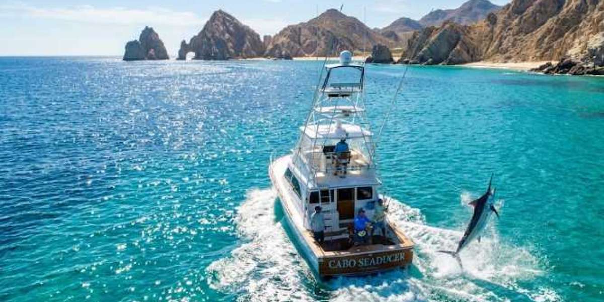 The Ultimate Guide to Sport Fishing in Baja California Sur