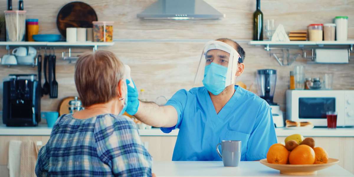 Medical Home Services Market Analysis: Expanding Home-Based Healthcare Driving Growth Through 2033