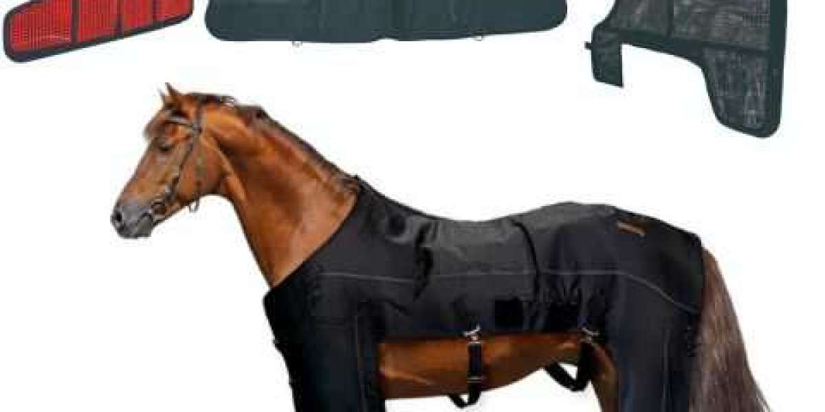 LED Horses Therapy Light: A Modern Approach to Equine Recovery and Wellness