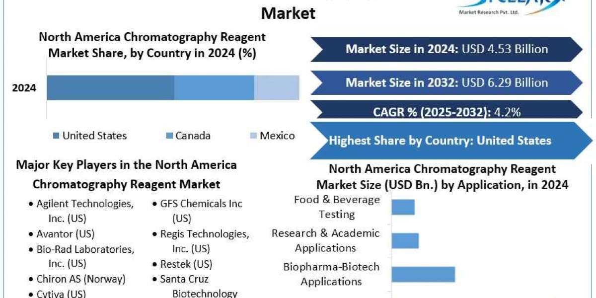 North America Chromatography Reagents Set for Steady Growth, Reaching $5.81B