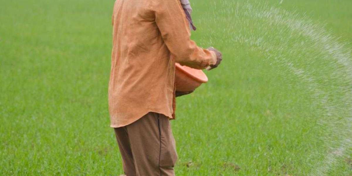 Cereal Crop Fertilization Driving Largest Agricultural Application