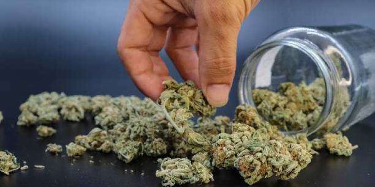 How Digital Platforms Connect Shoppers to the Cheapest Dispensary Near Me