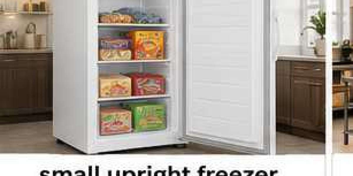 A Practical Guide to Small Upright Freezer