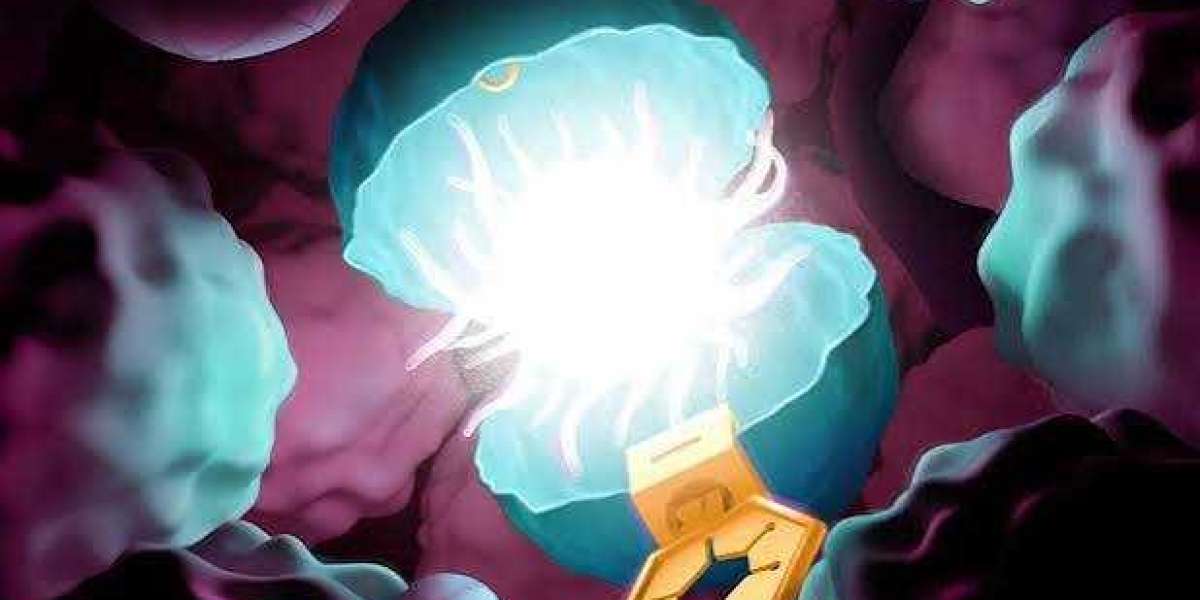 U.S. In Vivo Cell Reprogramming Market: Gene Editing & Regenerative Medicine Trends