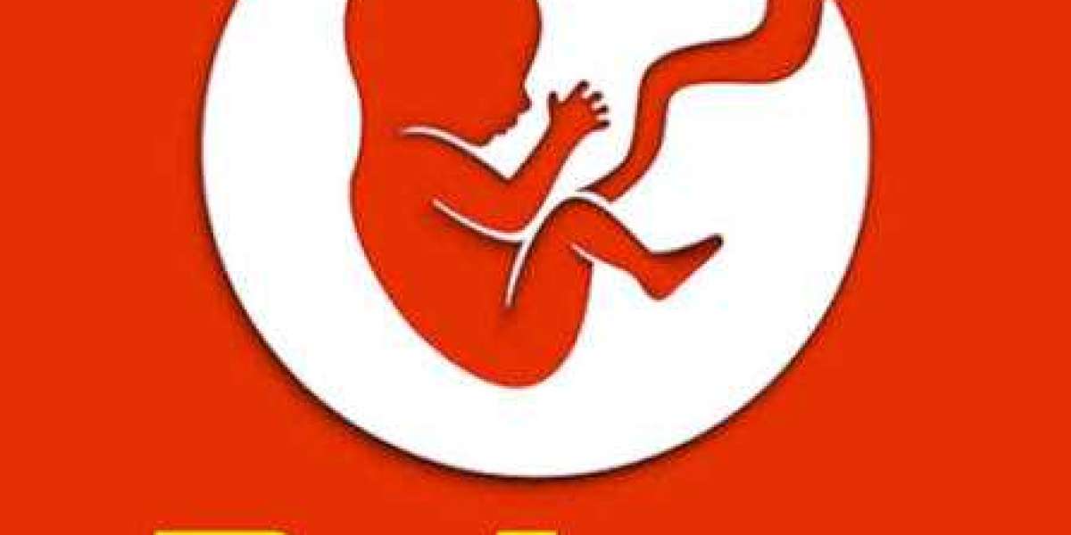 Embarking on a Thousand Lives: A Guide to the Joys of Bitlife