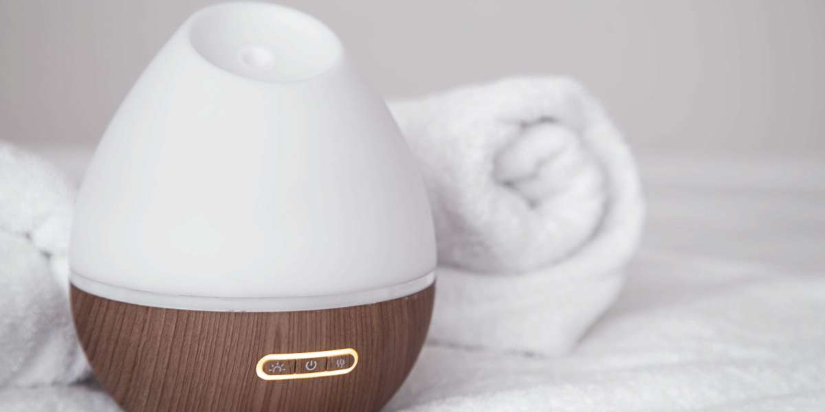 Household Humidifier Market: Trends Shaping the Future of Indoor Air Quality