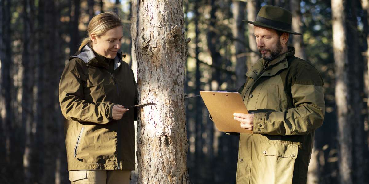 The Science of Stewardship: Understanding Vermont Timber Management