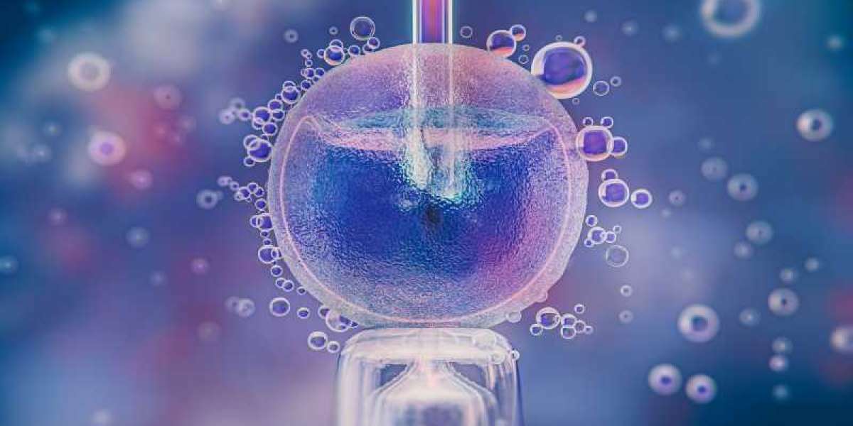 What Is Frozen Embryo Transfer and When Is It Used?