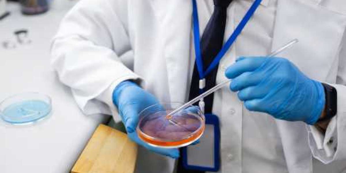 What Is Blastocyst Culture Treatment in IVF and How Can It Help Embryo Selection?