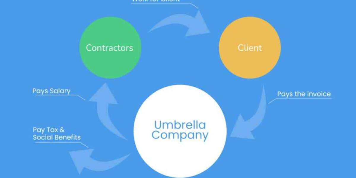 A Complete Guide to Choosing a Reliable Service Company