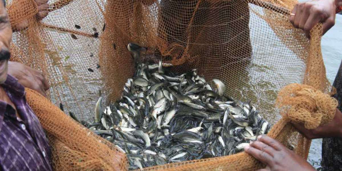 Fish Farming Market: Growth, Trends and Outlook 2035