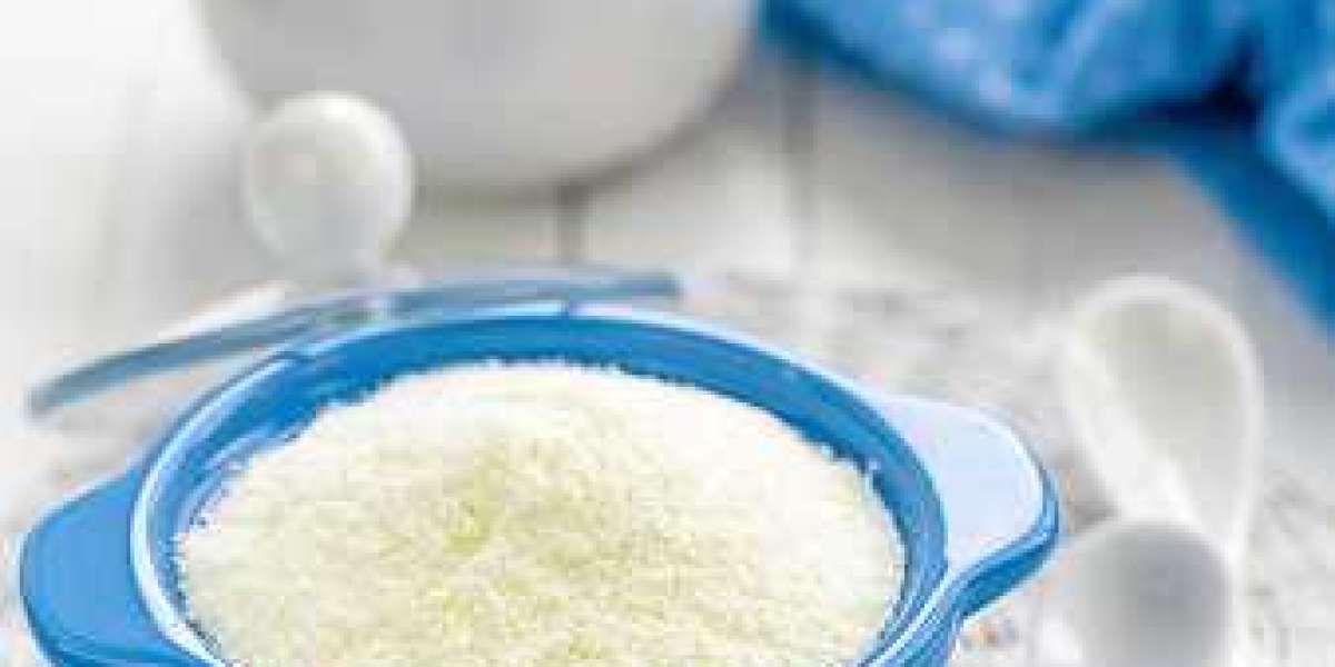 Enriched Milk Powder Market Growth Fueled by Nutritional Demand