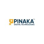Pinaka Digital Technologies Digital marketing agency